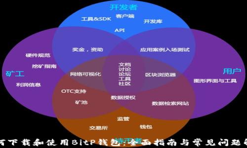 如何下载和使用BitP钱包:全面指南与常见问题解答