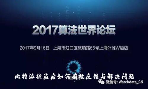 比特派被盗后如何有效反馈与解决问题