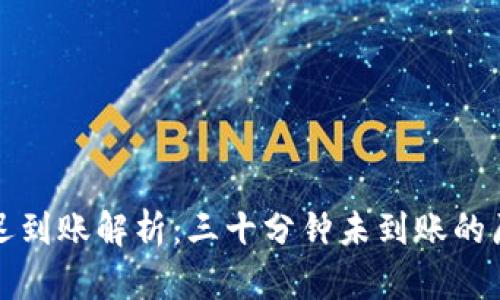 比特派交易延迟到账解析:三十分钟未到账的原因及解决方案