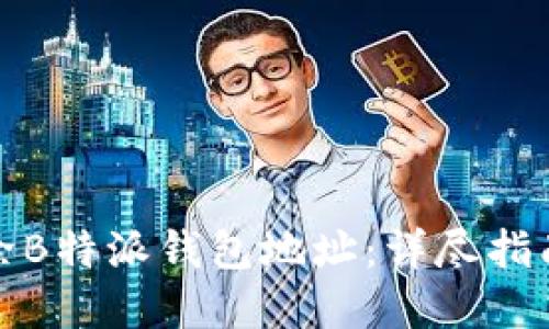 如何安全删除B特派钱包地址:详尽指南与实用建议