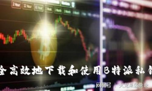 如何安全高效地下载和使用B特派私钥生成器