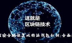如何安全地恢复比特派钱包私钥：全面