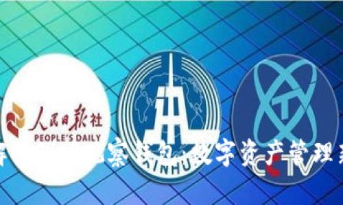 全面解读BitP观察钱包:数字资产管理新选择