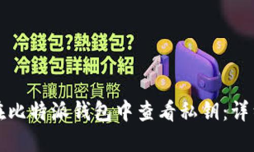 如何在比特派钱包中查看私钥:详细指南