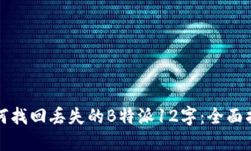 如何找回丢失的B特派12字：全面指南