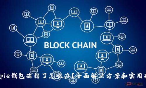 Bitpie钱包冻结了怎么办?全面解决方案和实用指南
