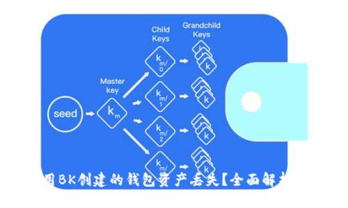 如何找回用BK创建的钱包资产丢失?全面解析与解决方案