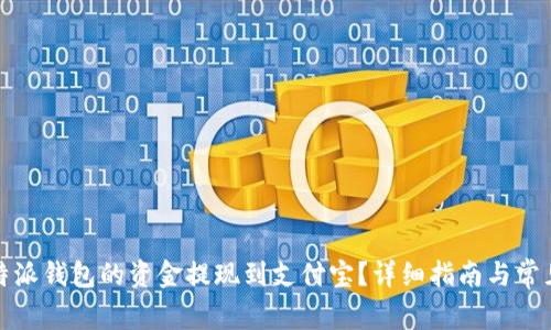 如何将比特派钱包的资金提现到支付宝?详细指南与常见问题解答