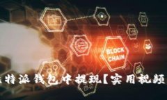 如何在比特派钱包中提现？实用视频指导教程