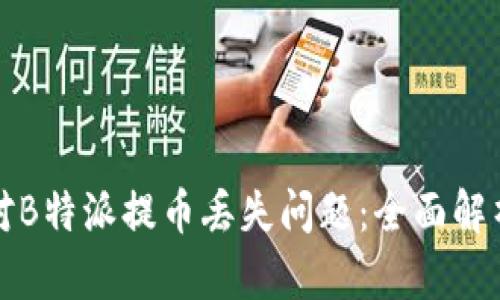 如何有效应对B特派提币丢失问题:全面解析与解决方案