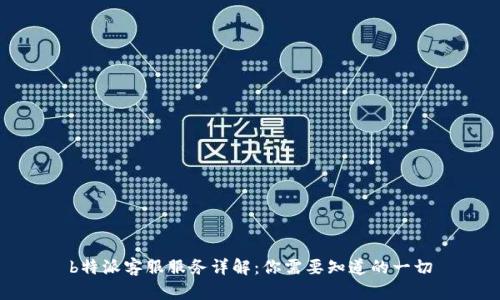 b特派客服服务详解：你需要知道的一切
