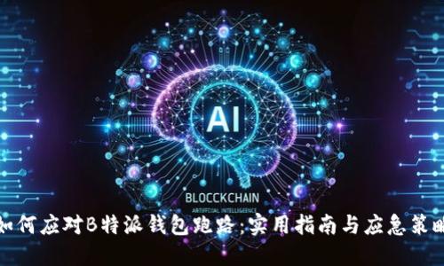 如何应对B特派钱包跑路:实用指南与应急策略