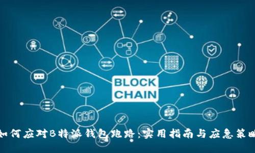 如何应对B特派钱包跑路:实用指南与应急策略