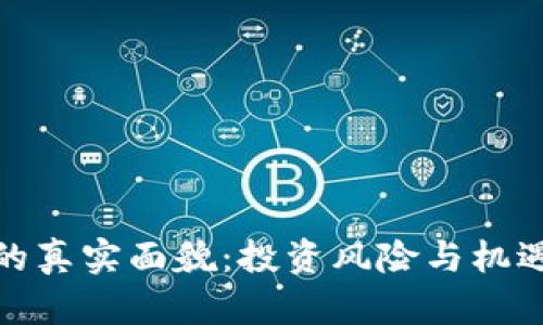 : 虚拟币的真实面貌：投资风险与机遇深入分析