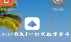 : 什么是BitP钱包？一站式数字货币钱包