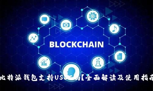 比特派钱包支持USDC吗?全面解读及使用指南