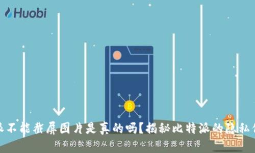 : 比特派不能截屏图片是真的吗?揭秘比特派的隐私保护功能