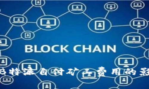 全面解析B特派自付矿工费用的影响与优势