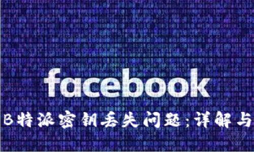 如何处理B特派密钥丢失问题：详解与解决方案