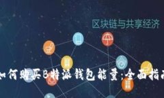 如何购买B特派钱包能量：全面指南