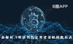 全面解析：B特派钱包使用方法视频教