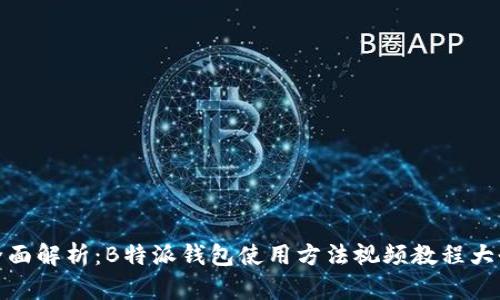 全面解析:B特派钱包使用方法视频教程大全