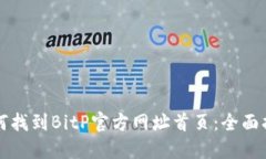 如何找到BitP官方网址首页：全面指南