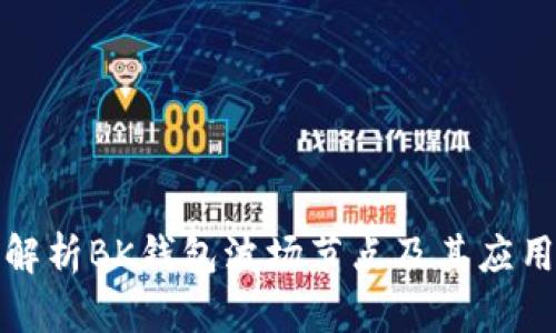 全面解析BK钱包波场节点及其应用前景