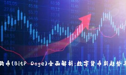 比特币狗狗币(BitP Doge)全面解析：数字货币新趋势与投资机会