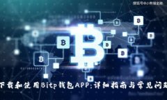 如何下载和使用Bitp钱包APP：详细指南