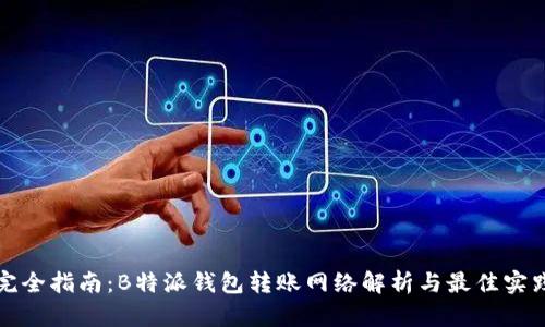 完全指南:B特派钱包转账网络解析与最佳实践