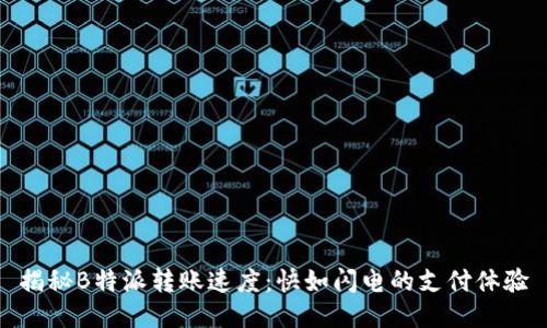 揭秘B特派转账速度：快如闪电的支付体验