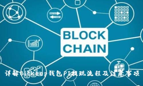 详解BitKeep钱包PI提现流程及注意事项