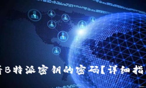 如何查看B特派密钥的密码?详细指南与解答