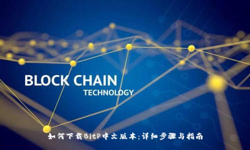 如何下载BitP中文版本:详细步骤与指南