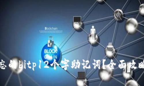 如何找回遗忘的bitp12个字助记词?全面攻略与解决方案