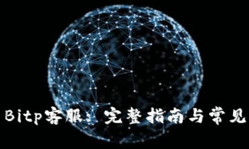 如何联系Bitp客服: 完整指南与常见问题解答