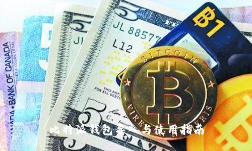 比特派钱包导入与使用指南