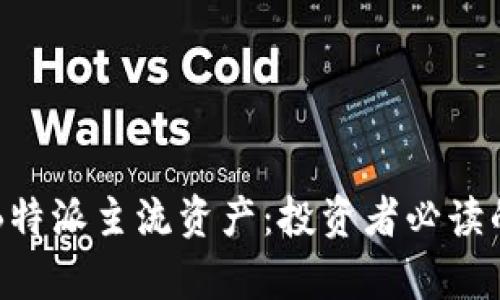 深入解析B特派主流资产:投资者必读的财务指南