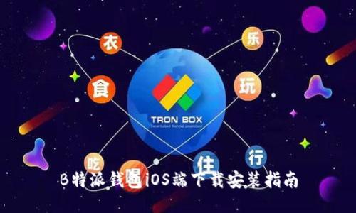 B特派钱包iOS端下载安装指南