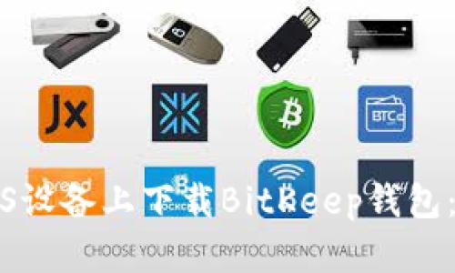 如何在iOS设备上下载BitKeep钱包:详细指南