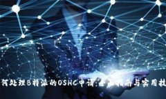 如何处理B特派的OSHC申请：全面指南与