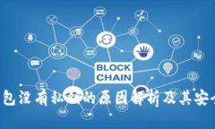b特派钱包没有私钥的原因解析及其安