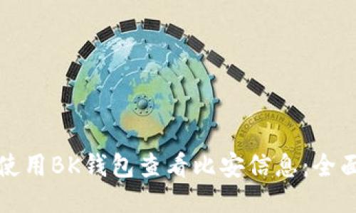 如何使用BK钱包查看比安信息:全面指南