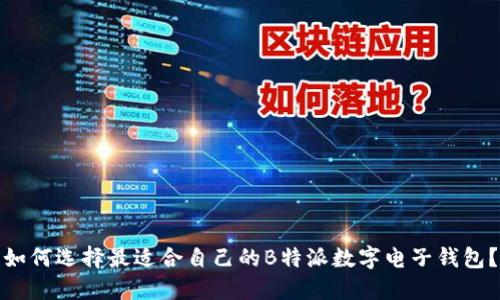 如何选择最适合自己的B特派数字电子钱包?