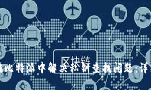 如何在比特派中解决私钥查找问题:详细指南