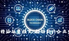 深入解析B特派融资模式：推动新兴企