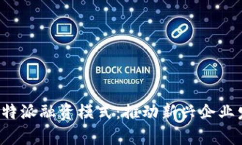 深入解析B特派融资模式：推动新兴企业发展的关键