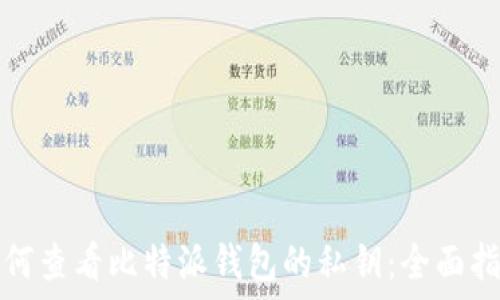 如何查看比特派钱包的私钥:全面指南