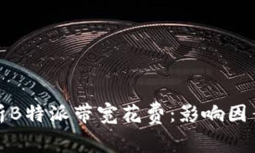 全面解析B特派带宽花费:影响因素与策略